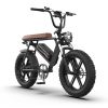 AOSTIRMOTOR new pattern Electric Bicycle 750W Motor 20" Fat Tire With 48V 13AH Li-Battery